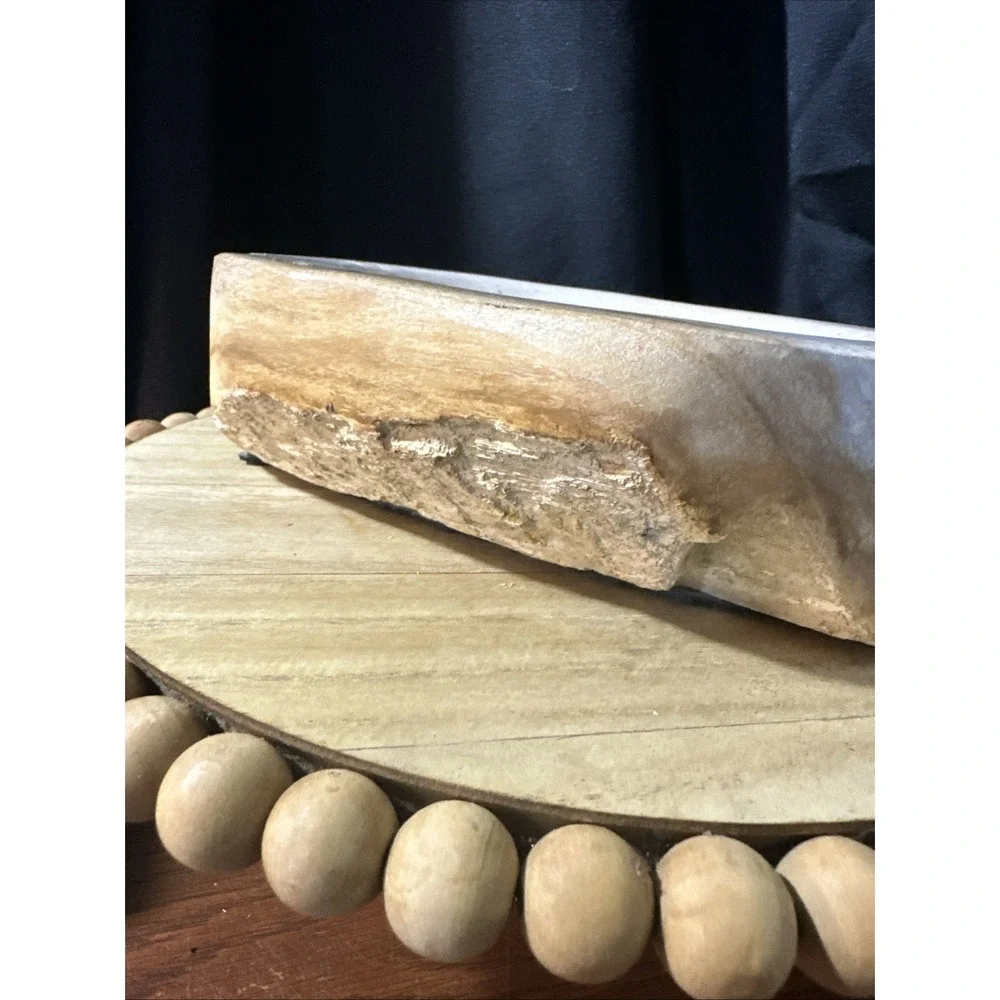 Petrified Wood Bowl Rustic Decor 8.5lbs  Amazing Statement Dish